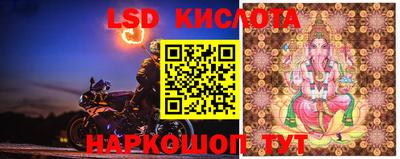 ГАЛЛЮЦИНОГЕННЫЕ ГРИБЫ Краснодар